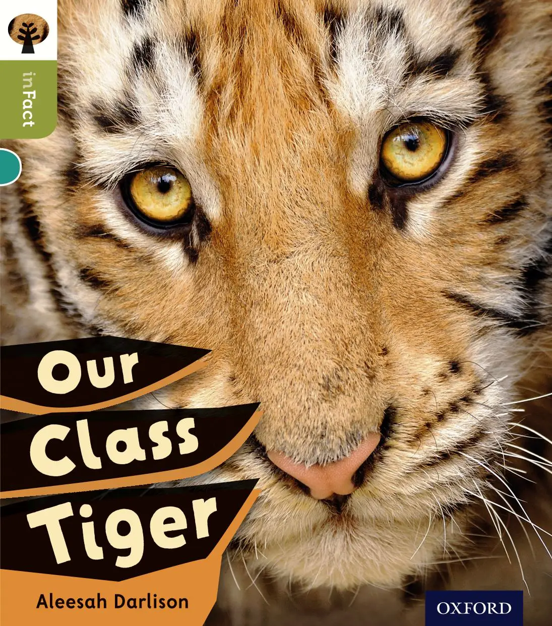 The class gets a surprise visitor—a real tiger! A delightful story about wildlife, wonder, and responsibility that sparks imagination and classroom talk.