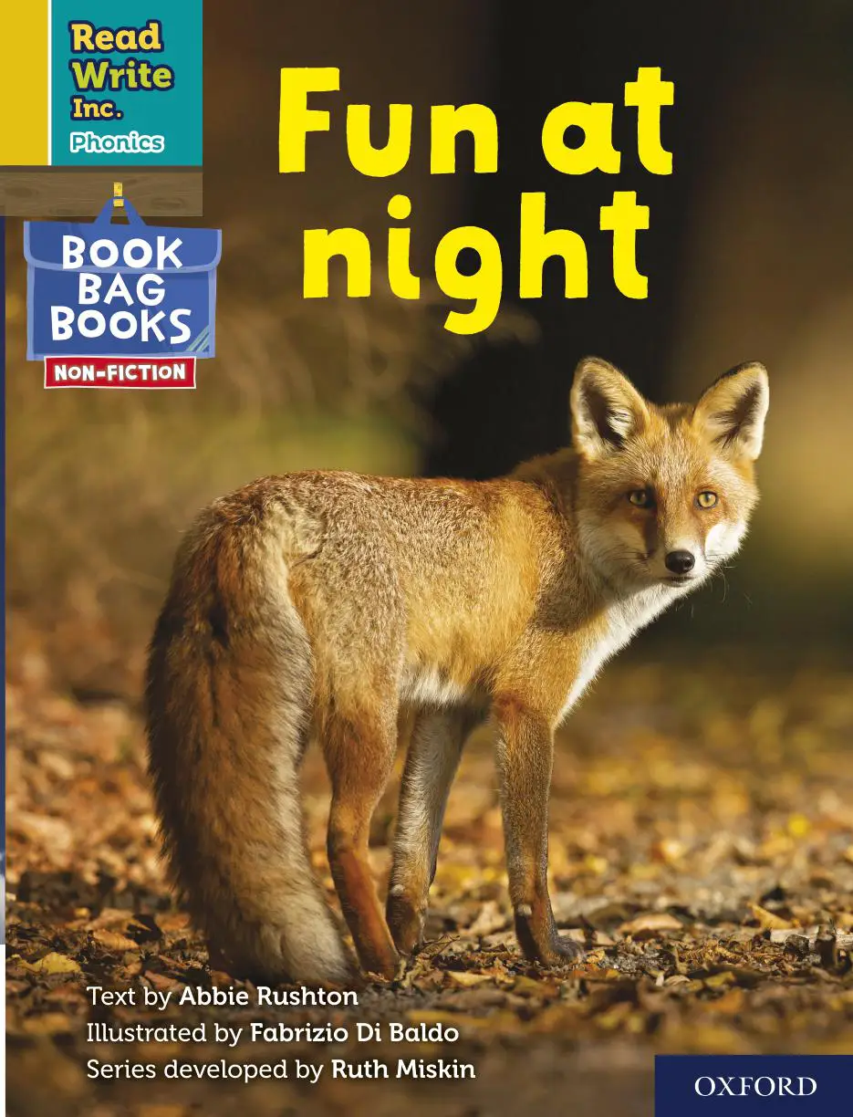 Explore what happens when the sun goes down in this fun phonics story that builds early reading skills through nighttime scenes and playful sounds.
